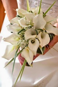 Amaryllis Floral Design 1071112 Image 6